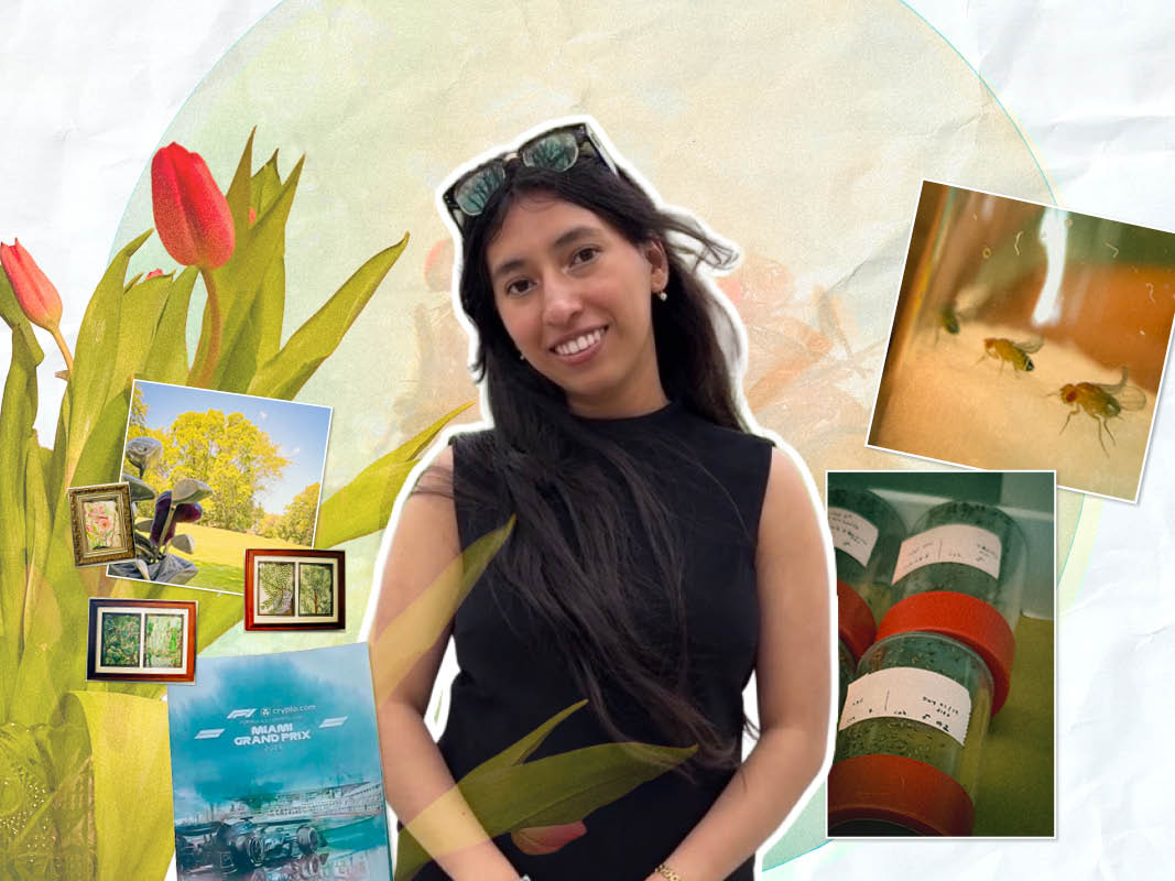 Bug Brains and Domino Genes: Ariana on Her Van Andel Research Internship 
