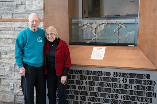 Ted Thompson and his wife, Rita in front of the Oreodont skeleton on dispaly in Albertus Magnus Hall