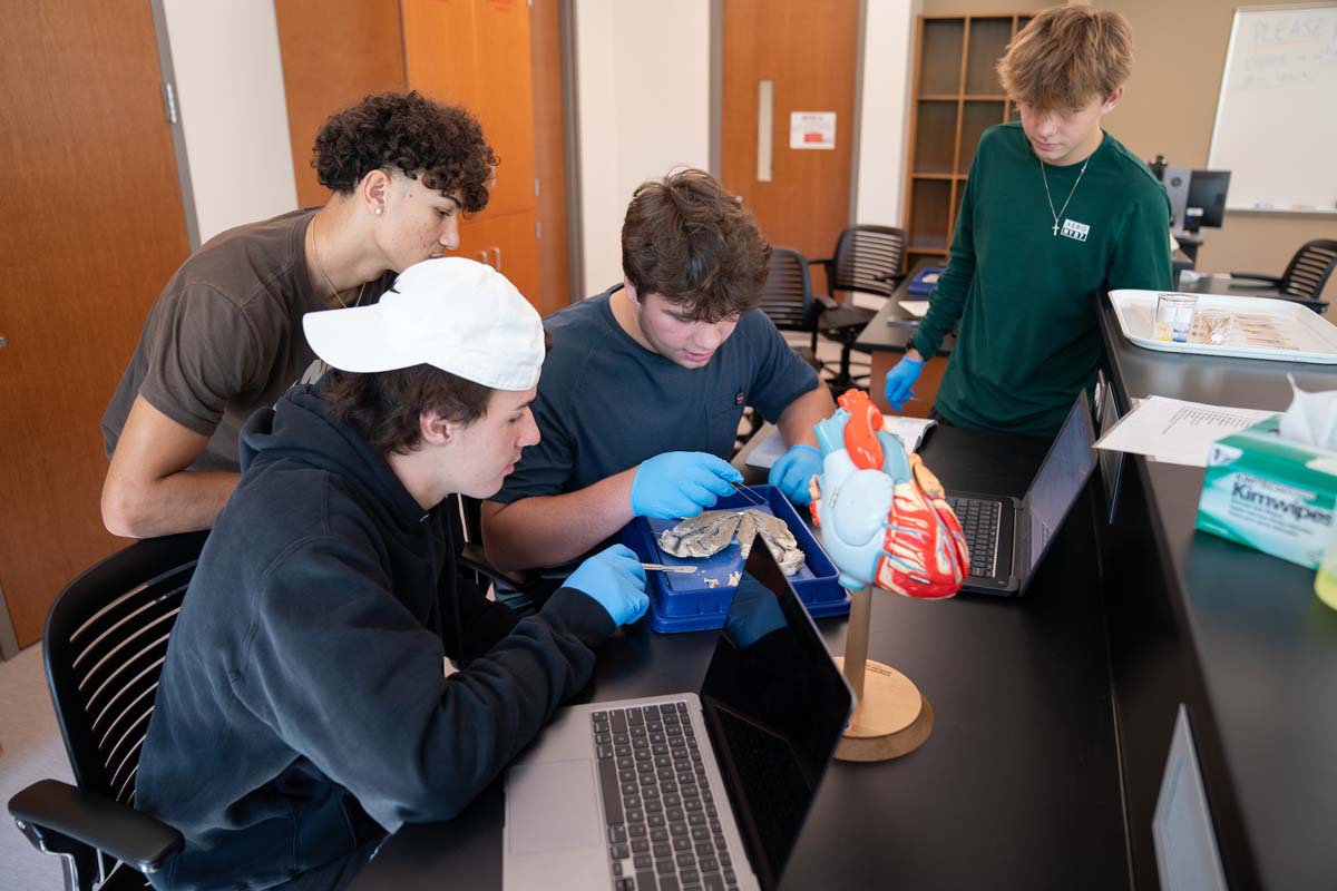 Students in a block model biology class dissecting a heart