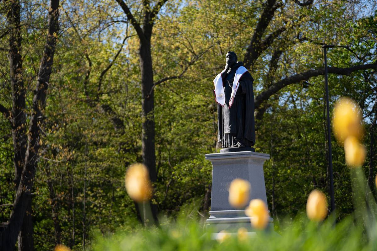 Catholic Caucus Daily Mass Readings 28 January 2024   Graduate Aquinas Statue 