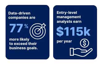 Business Analytics infographic
